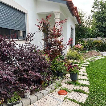 Beautiful Little Country House Villa Carvide Bagian luar foto