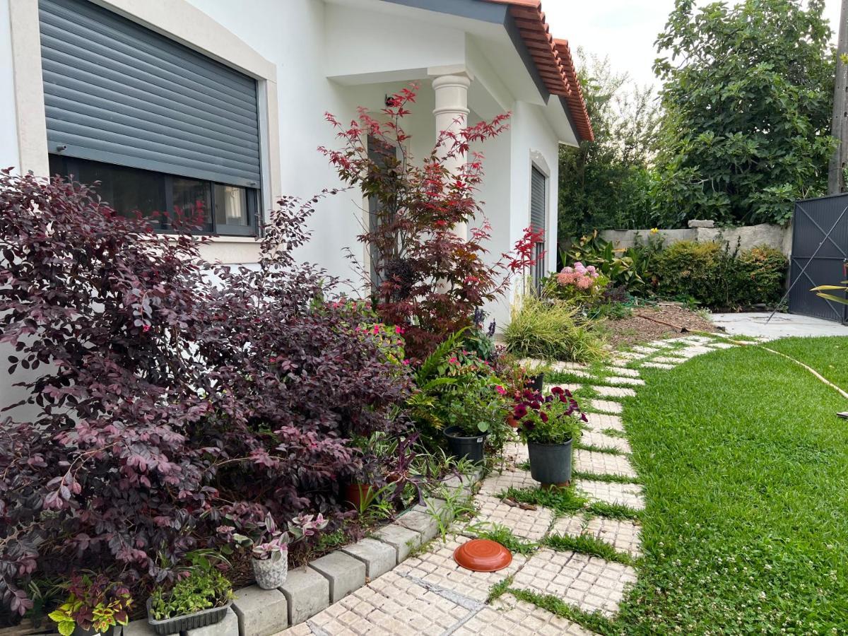 Beautiful Little Country House Villa Carvide Bagian luar foto